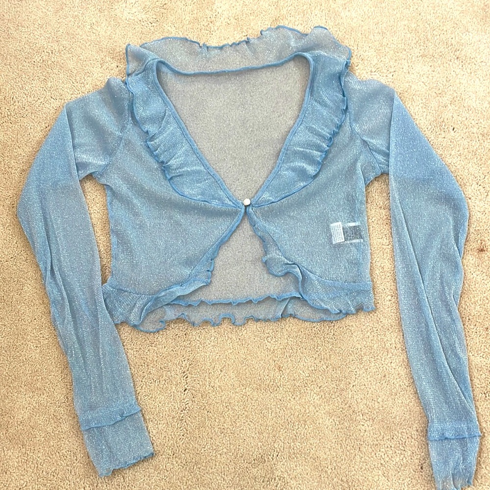 shimmery Blue top
